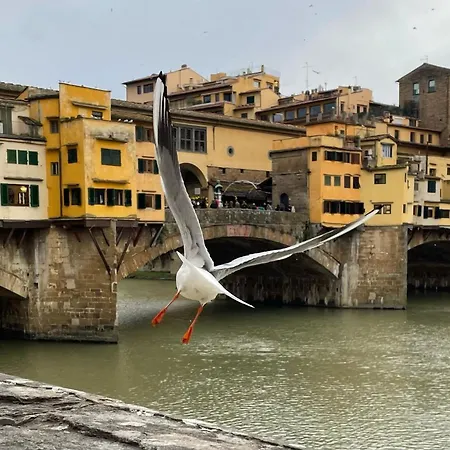 Apartment Vintage In The Heart Of Florence